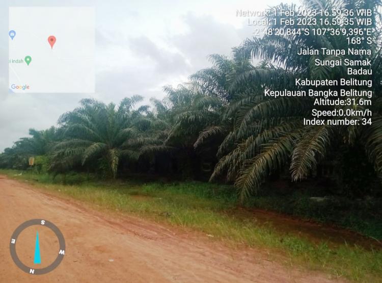 Diduga Merambah Hutan Lindung, PT HBA Tidak Tersentuh Hukum 