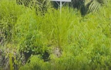 Kalah di PTUN Pekanbaru dan MA Tarmizi Akhmad Cs Ajukan PK, Siapa Dibelakang Tarmizi?