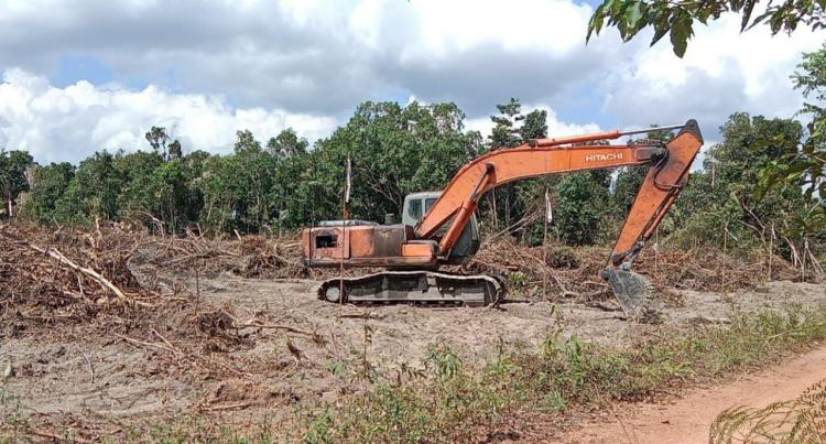 Buka Lahan Kebun Dikawasan Hutan Lindun, Warga Dendang  Gunakan Alat Berat 
