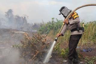 Tanpa Kenal Lelah Polres Bengkalis Padamkan Kebakaran Hutan di Rupat