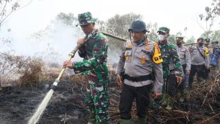 Sinergi TNI-Polri, Polres Bengkalis dan Kodim 0303/Bengkalis Padamkan Kebakaran Hutan
