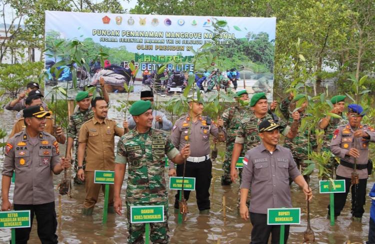 Polres Bengkalis melaksanakan Penanaman Mangrove yang diadakan Serentak se- Indonesia 