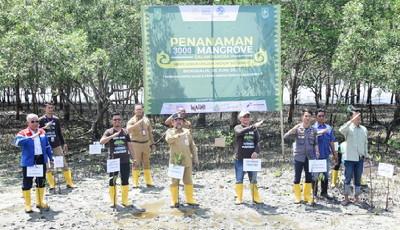 Cegah Abrasi, Bupati Bengkalis Kasmarni Buka Talk Show Penanaman 3000 Mangrove
