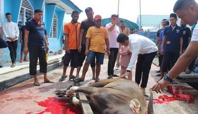 Idul Adha 1444 H Lapas Bengkalis, Kalapas: Sembelih 5 Sapi dan 1 Kambing, Bupati Bengkalis Sekeluarga Qurban 1 Ekor Sapi