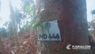 Kawasan HPK dan HPT Desa Muara Dua Bengkalis Ditambah Untuk Sawit
