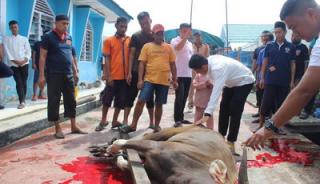 Idul Adha 1444 H Lapas Bengkalis, Kalapas: Sembelih 5 Sapi dan 1 Kambing, Bupati Bengkalis Sekeluarga Qurban 1 Ekor Sapi