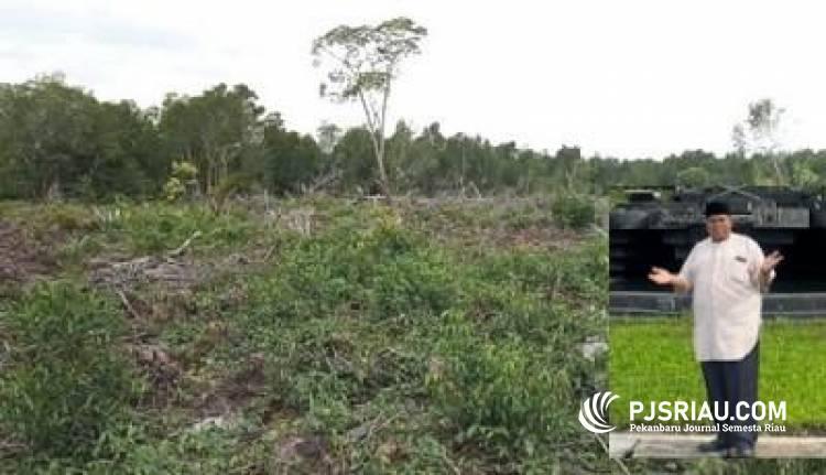 12 Hektar Hutan Mangrove Digarap, Pakar Lingkungan: Izin OSS Tidak Sah Jika Pembukaan Kawasan Terjadi Pidana Kehutanan
