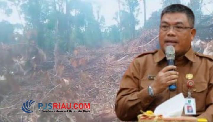 Ribuan Hektar Kawasan Hutan Bengkalis Diserobot, LHK Riau: Kita Segera Turunkan Tim ke Lapangan