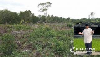 12 Hektar Hutan Mangrove Digarap, Pakar Lingkungan: Izin OSS Tidak Sah Jika Pembukaan Kawasan Terjadi Pidana Kehutanan