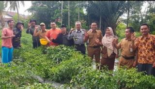 Berhasil Tanam 750 Cabai, Wabup Bagus Santoso Apresiasi kepada Komunitas Mahasiswa Petani Milenial