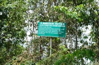 Pengakuan Pemilik Tambang Ilegal: Bos Atung dan Kerusakan Hutan Gunung Tagen