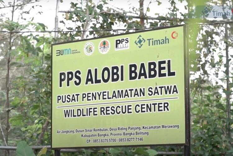Melindungi Keaneragaman Hayati, Merehabilitasi Satwa di Lahan Bekas Tambang PT Timah Tbk 