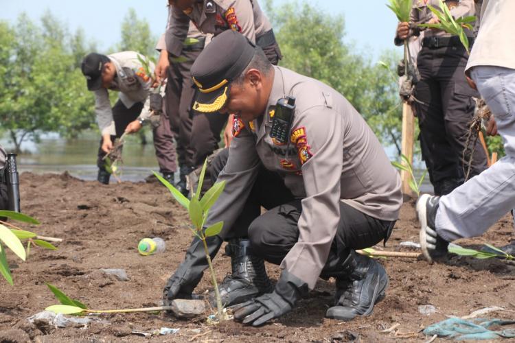 Jaga Ekosistem Pesisir dan Filter Alami, Polres Bengkalis Tanam Bibit Mangrove dalam Rangka HUT Humas Polri ke-72