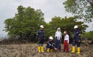 Target Net Zero Emission 2060, PT Timah Tbk dan Masyarakat Bersatu dalam Penanaman Mangrove 