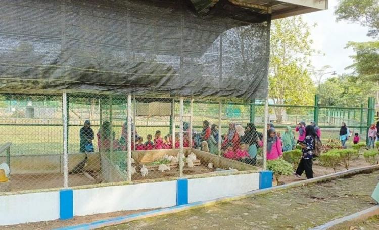 PT Timah Tbk Ajak Siswa TK Bina Permata Desa Prayun Belajar dan Melihat Satwa di Kundur Park