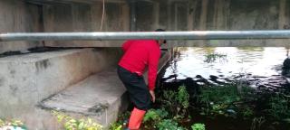 DLH Rohil Kerahkan Tim Satgas Banjir dan 2 Unit Excavator untuk Pembersihan Drainase dan Sungai