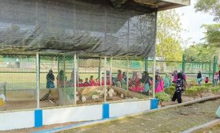 PT Timah Tbk Ajak Siswa TK Bina Permata Desa Prayun Belajar dan Melihat Satwa di Kundur Park