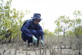 Dukung Net Zero Emission, PT Timah Tbk Raih Penghargaan dari Dewan Energi Nasional