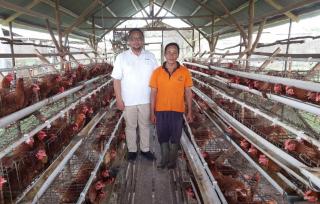 Dorongan PUMK PT Timah Tbk: Niko Optimalkan Kesempatan untuk Majukan Usaha Ayam Petelur dan Toko Kelontong di Belitung