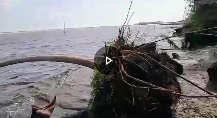 Pengikisan Daratan  20 Meter Per Tahun, Pulau Bengkalis Proses Menuju Kehancuran Akibat di Gerus Ombak Selat Malaka