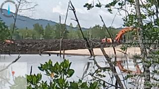 Darurat Ekologis: DAS Perimping dan Hutan Bakau Bangka Belitung Dihajar Tambang Ilegal