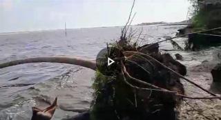 Pengikisan Daratan  20 Meter Per Tahun, Pulau Bengkalis Proses Menuju Kehancuran Akibat di Gerus Ombak Selat Malaka
