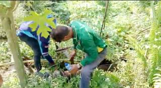 DLH Siak Temukan PKS PT LSP Kandis Membuang Limbah Sembarangan Tanpa Izin