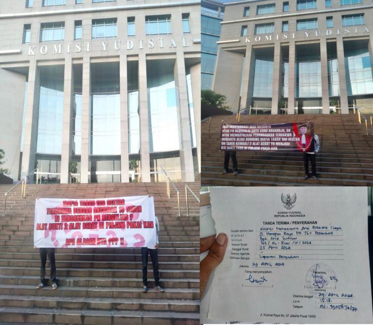 Aliansi Mahasiswa Datangi KY RI Minta Pemantauan Kasus Penebangan Kayu Ilegal oleh Bombeng