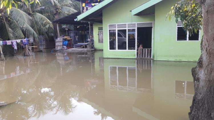 Banjir Melanda Desa Wisata Buluh Cina, Luapan Air Sungai Kampar Genangi Rumah Warga