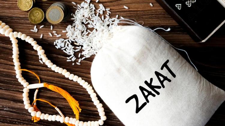 Youtuber Hingga Selebgram Diwajibkan MUI Bayar Zakat