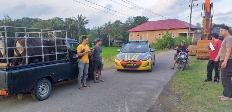 Sambut Hari Raya Idul Adha, Polres Sinjai Gencar Lakukan Operasi Memberantas Curnak 