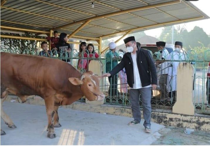 Momen Idul Adha: Erzaldi Rosman Perkuat Silaturahmi dengan Penyerahan Sapi Kurban
