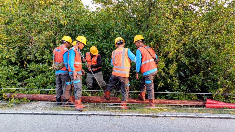 Dapat Laporan Empat Tiang Listrik Tumbang di Bantan, Siaga ULP PT PLN Bengkalis dan Tim Teknis ke Lokasi 