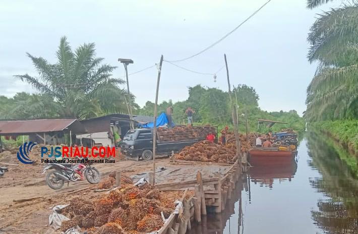 LSM Gerak Minta APH Terjun Langsung Untuk Melakukan Penyelidikan