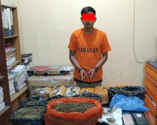 Simpan 7 kg Ganja Kering Siap Edar, Seorang Pemuda di Amankan Tim Opsnal Polsek Tualang 