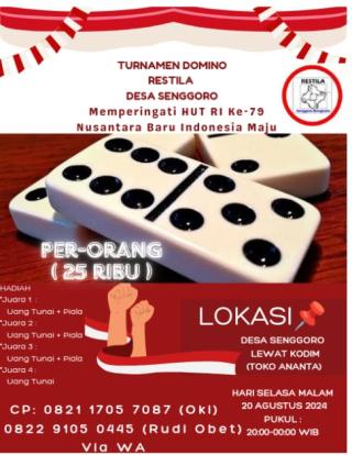 Semarakkan HUT RI Ke 79,  Pemuda Restila Dusun IV Desa Senggoro Taja Turnamen Domino
