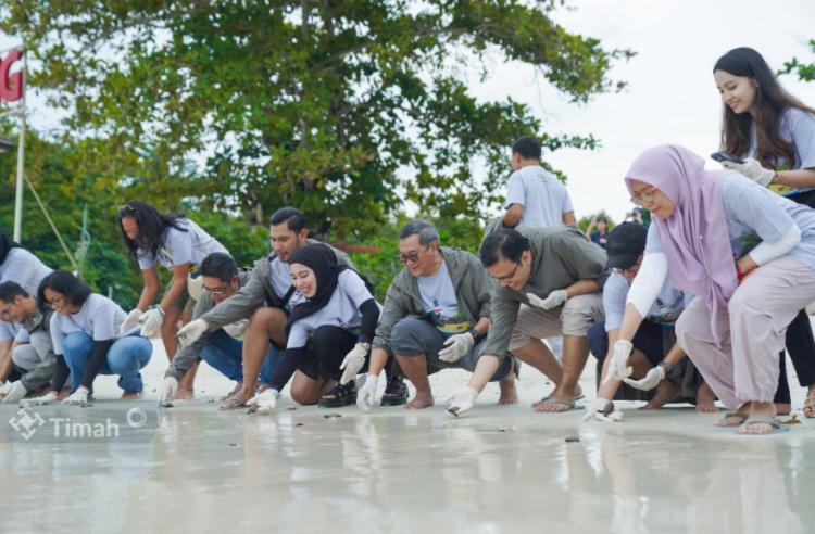 MIND ID Grup Dukung Pelestarian Penyu Sisik: Pelepasliaran Tukik di Pantai Belitung