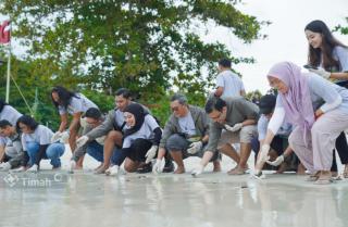 MIND ID Grup Dukung Pelestarian Penyu Sisik: Pelepasliaran Tukik di Pantai Belitung