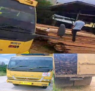 DPO Ilog Rimba Melintang Bebas Jual Kayu Kepanglong - Panglong! APH Jangan Tutup Mata