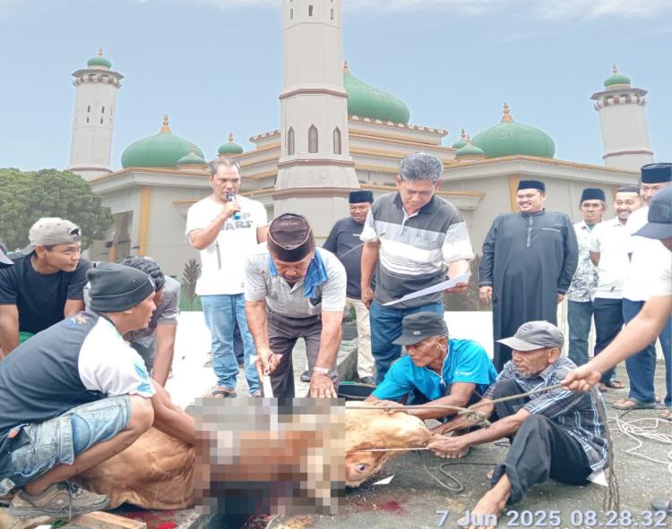 Masjid Al-Mubarak Sembelih 11 Hewan Qurban, Ketua DPRD Septian: Lupakan Perbedaan, Bersatu di Lindungan Allah SWT