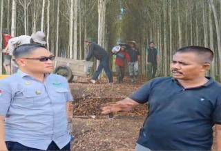 Agroforestry Penyelesaian Kerusakan Kawasan Hutan, Executive Director Poetra Nusantara Dukung P-IPMPL dan K-SBD 
