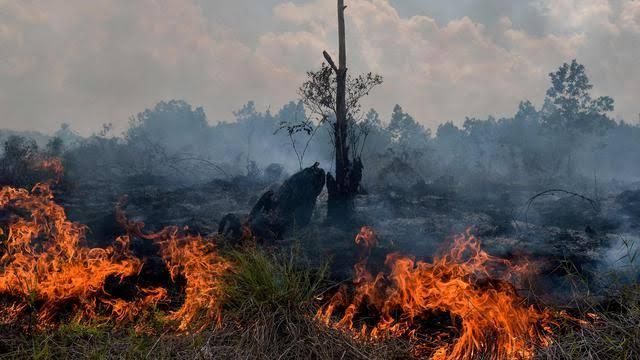 Pemkab Bengkalis Keluarkan 5 Point SE Bupati Tentang Antisipasi Bencana Karhutla