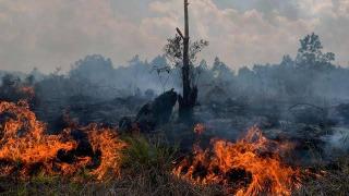 Pemkab Bengkalis Keluarkan 5 Point SE Bupati Tentang Antisipasi Bencana Karhutla