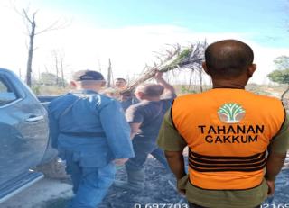 Lahan Terbakar 71 Hektare di Tahura Minas Ditanam Bibit Sawit, Pria Asal Pekanbaru Diciduk Satgas