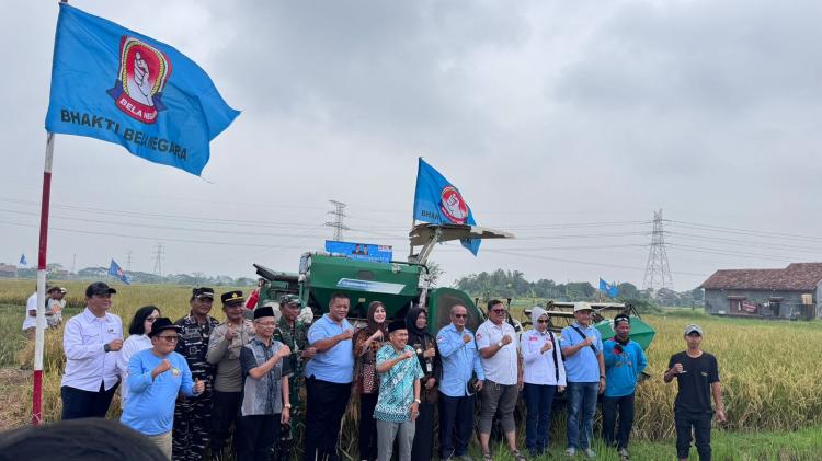 YBBN Banten Bersama Poktan Adem Ayem Tani Gelar Panen Demplot PS-08 Capai 9 Ton Per Hektar