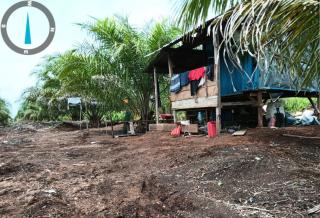 Hukum Diuji di Bengkalis: Warga Resah, DPO Mafia Hutan 153 Hektare Belum Tertangkap