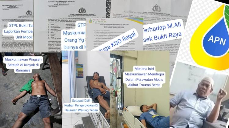 Dugaan Hubungan PT Agrinas–PT Tiga Raja Mas, Kekerasan Massal Menimpa Warga Desa Sungai Akar