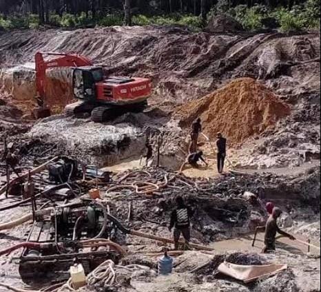 Kepala Burung Bergolak: Dugaan Aparat dan Cukong Kuasai Blok, Masyarakat Jadi Penonton