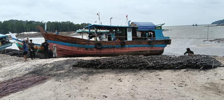 Investigasi: Pembakaran Kabel Tembaga Diduga Terjadi di Hutan Lindung Pantai Bangka Barat
