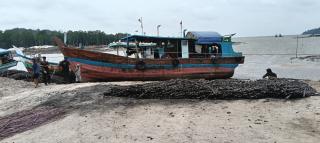 Investigasi: Pembakaran Kabel Tembaga Diduga Terjadi di Hutan Lindung Pantai Bangka Barat